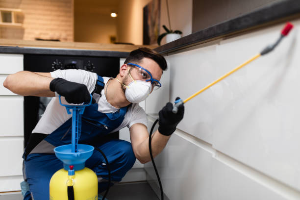 Best Bed Bug Extermination  in Grandwood Park, IL