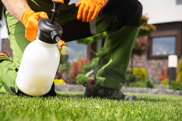 Best Commercial Pest Control Services  in Grandwood Park, IL