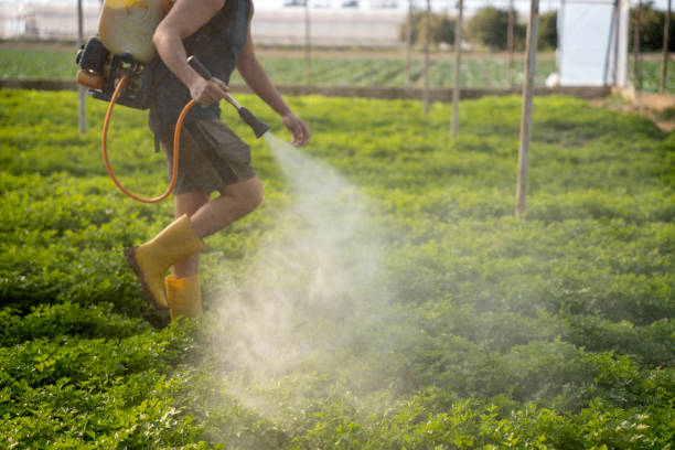 Best Pest Prevention Services  in Grandwood Park, IL