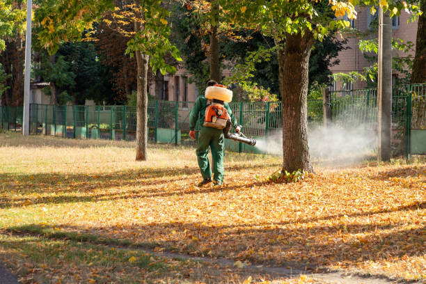 Best Emergency Pest Control  in Grandwood Park, IL
