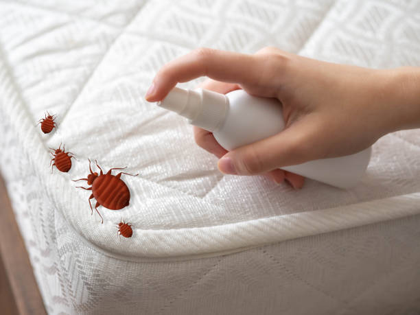 Best Affordable Pest Control Services  in Grandwood Park, IL