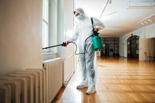 Best Pest Control Treatment  in Grandwood Park, IL