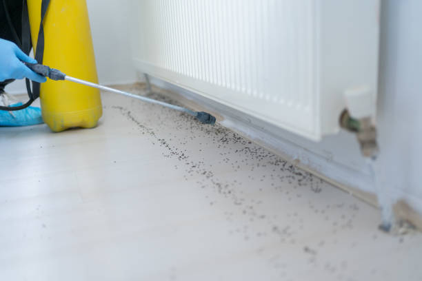 Best Bed Bug Extermination  in Grandwood Park, IL