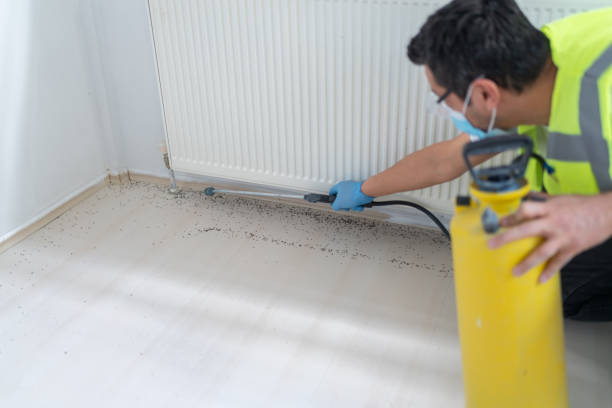 Professional Pest Control in Grandwood Park, IL
